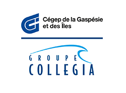 Cégep de la Gaspésie et des Îles